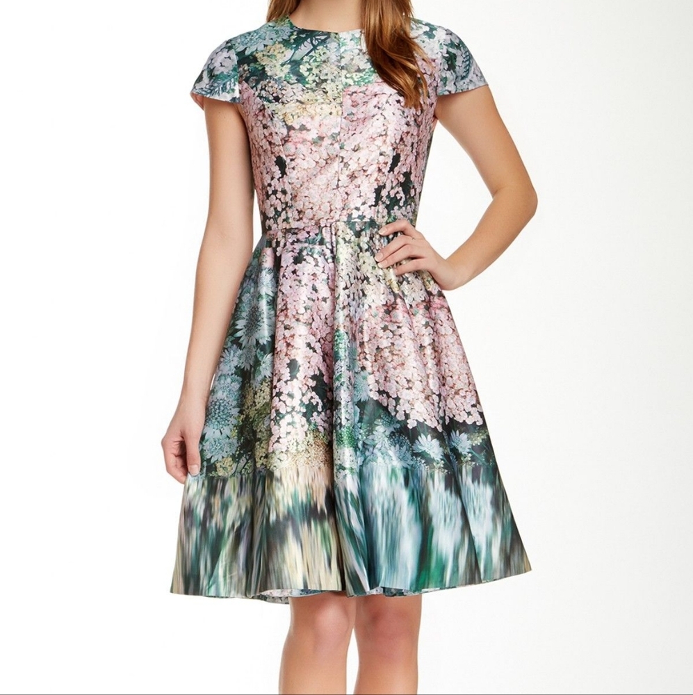 Ted Baker London Dixee Glitch Floral Dress Size 3